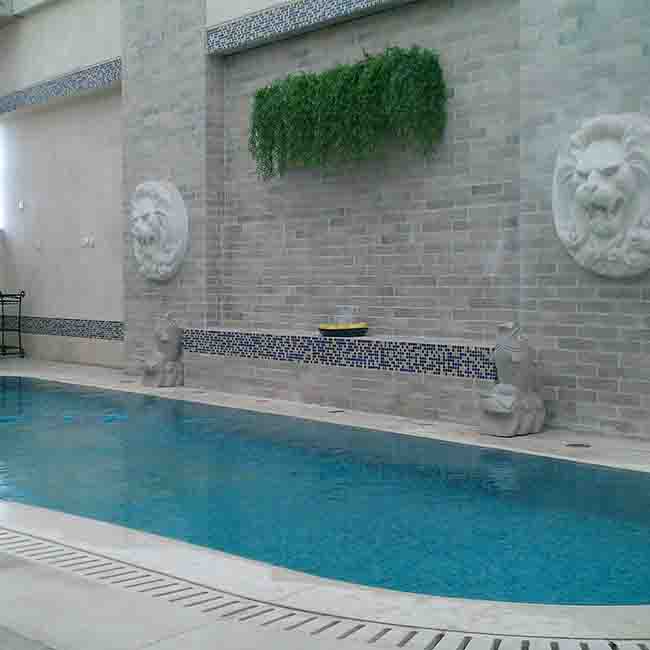 高层游泳池水处理设备应用案例7